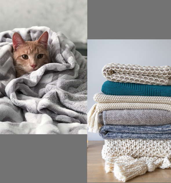 Blanket