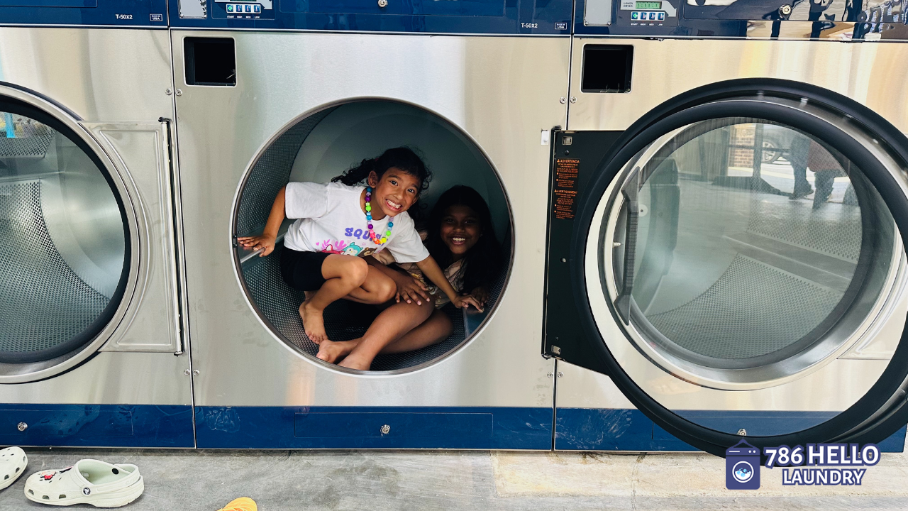 Laundry Pickup And Delivery Service In Georgetown (2)